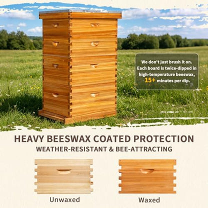 10-Frame Langstroth Bee Hive,4 Layers Beeswax Coated Beehive Kit Includes 2 Deep Brood Hive Boxes and 2 Medium Super Bee Box with Beehive Frames and Foundations for Beekeeper - size: 4 Layers