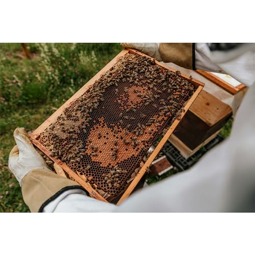 HARVEST LANE HONEY Beekeeping Jacket, Large