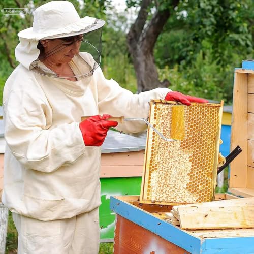 2 Pcs Honey Extractor Uncapping Needle Roller, Beekeeping Honey Extractor Equipment with 2 Pcs Cleaning Brush, Idea for Beekeeper Honeycomb Beekeeping Tool
