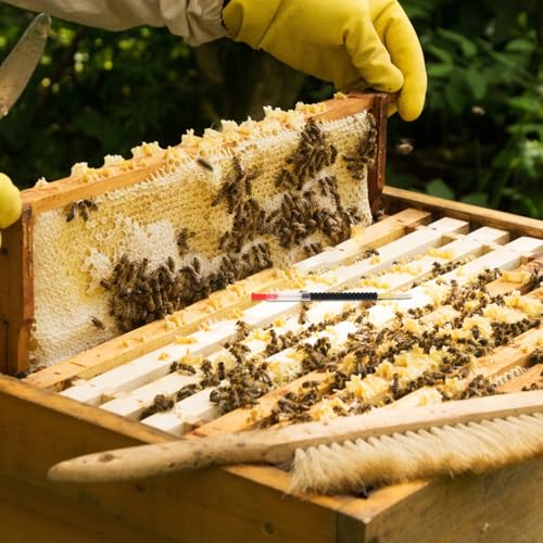 4 Pairs Bee Farming Equipment: Beekeeping Transfer Needles - Professional Grafting Tool for Queen Rearing Supplies Hive Moving Kit