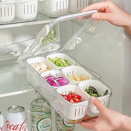2Pack Divided Food Serving Tray with Lids Stackable Snackle Box for Candy Nuts Spice Fruit&Veggie Container with 6 Small Dividers Plastic Storage Bins for Fridge Pantry Freezer - size: 2Pack with 12 dividers