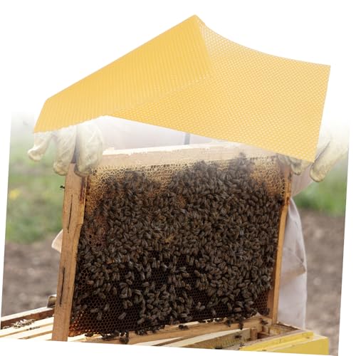30pcs Hive Basics Beehive Wax Foundation Sheets Beehive Accessories Easy to Use Natural Beeswax for Beekeeping DIY Projects