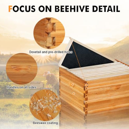 10 Frame Deep Brood Beehive Box Wax Coated Bee Hives Includes Beehive Frames and Waxed Foundations (Unassembled) - size: Brood deep box