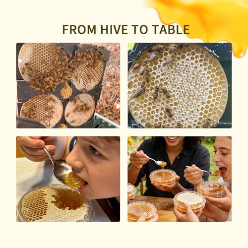 Honeycomb Frame Kit - 10 Year 5 Generation Upgraded Hive-to-Table Honey Processing Kit, Complete Langstroth Beehive Honey Comb Cassette Set for Beekeeping Honey Harvesting & Packaging (1)