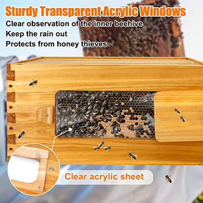 BeeCastle 10 Frame Deep Bee Hive Box, Langstroth Beehive Boxes Dipped in 100% Natural Beeswax with Window, Beehive Frames and Beeswaxed Foundations (Unassembled) - size: 1 Deep Box
