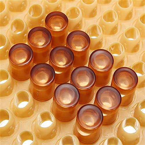Plastic Queen Rearing System Beekeeping Bee Grafting Kit Royal Jelly Squeegee Pen Cultivating Box Cell Cups Queen Bee Cage Catcher Clips Beekeeping Grafting Tool Supplies