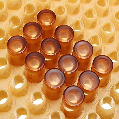 Plastic Queen Rearing System Beekeeping Bee Grafting Kit Royal Jelly Squeegee Pen Cultivating Box Cell Cups Queen Bee Cage Catcher Clips Beekeeping Grafting Tool Supplies