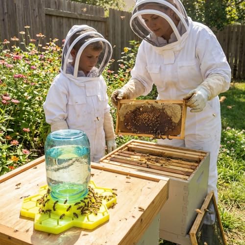 2 Pack Silicone Bee Feeder for Mason Jars | Drown-Free Honeycomb Bee Watering Station Fits Regular & Wide Mouth | Safe Sugar Syrup Feeding Station for Beekeepers & Backyard Gardens (Yellow)