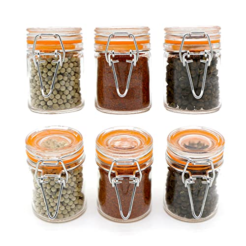 1.7 oz Mini Glass Spice Bottles, 24 Pack Small Glass Jars with Airtight Lid and Leak Proof Rubber Gasket, Empty Spice Containers with Labels for Home and Kitchen