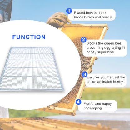 BEEXTM Queen Excluder Beekeeping Queen Excluders for 10 Frame Bee Hive Metal Queen Bee Excluder Metal Queen Excluder for Beehive (2-Pack) - size: 2 Pack 10 Frame