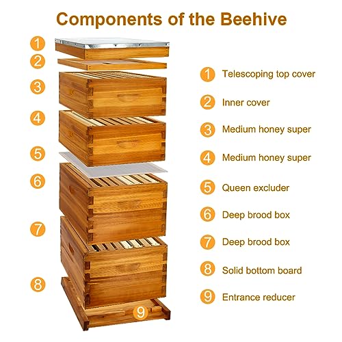 Honey Lake 8 Frame Bee Hive Dipped in Beeswax, Langstroth Complete Beehives Starter Kit Includes 2 Deep Brood Box and 2 Medium Super Box with Beehive Frames and Waxed Foundation Sheet