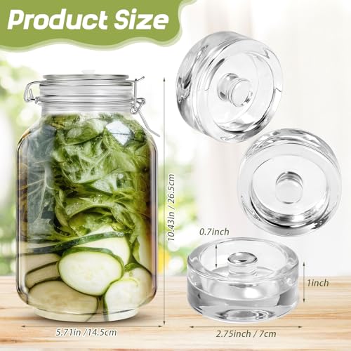 Teenyyou 2 Sets Fermentation Jar Fermentation Kit with Fermenting Weights and Airlocks for Sauerkraut, Vegetables, and Other Fermented Food(3 L)