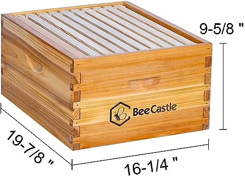 BeeCastle Heavy Wax Coated Unassembled Langstroth Deep/Brood Box with Frames and Beeswax Coated Foundation Sheet (10 Frame) - size: 10 Frame