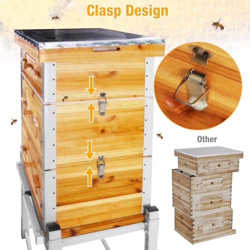 Bee Hive Boxes Starter Kit with Metal Stand,100% Beeswax Coated Bee Hive with 10 Medium and 20 Deep Frames & Foundations(3 Layer)