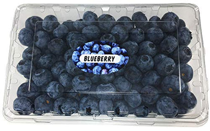 Blueberry Grocery Store Food Labels 1.25 x 2 Inch Oval Shape 500 Total Adhesive Stickers - color: Blueberry