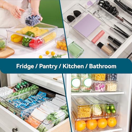 Luckore 10 Pack Clear Fridge Organizer, Stackable Refrigerator Organizer Bins with Lids, Fridge Storage Containers for Kitchen, Food, Cabinets, Fruits, Vegetables, Cereals