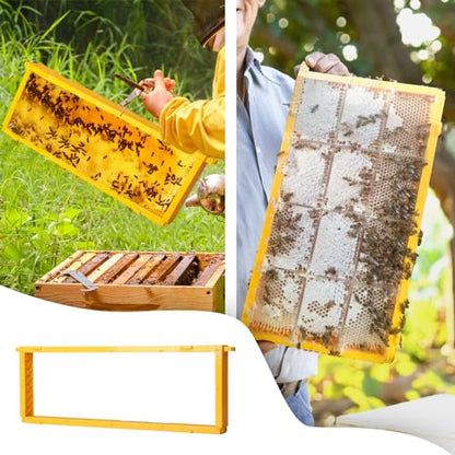 5 Pack Durable Plastic Beehive Frames | 3-in-1 Design for Wires/Wax Foundations/Honeycomb Cassettes, Fits 8/10 Frame Hives (19"×9")