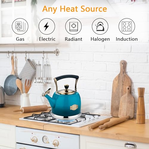 Tea Kettle Stainless Steel Teapot, Stainless Steel Teakettle for Stove Top with Heat Proof Ergonomic Handle 3.0 Quart - color: Blue, size: 3 Quarts