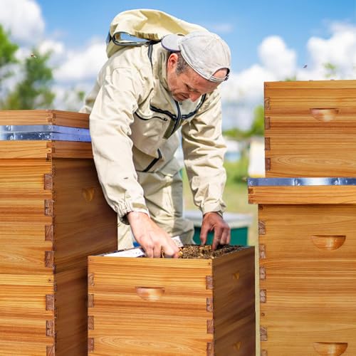 10 Frame Langstroth Deep Brood Beehive Box, Premium Cedar Dipped in Beeswax, Complete Frames & Wax Foundations, Deep Brood Hive Kit for Beginner Beekeepers(Unassembled) - size: 10 frame deep