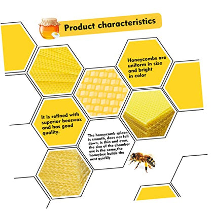 10pcs Beekeeping Equipment Beeswax Sheets Beehive Foundation Beehive Raising Tool