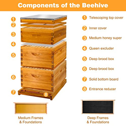 Honey Lake 10-Frame Beehive Boxes Starter Kit for Beekeepers Dipped in Beeswax, Complete Langstroth Bee Hive Kit Includes 2 Deep Brood Boxes, 1 Medium Super Box, Beehive Frames & Waxed Foundations