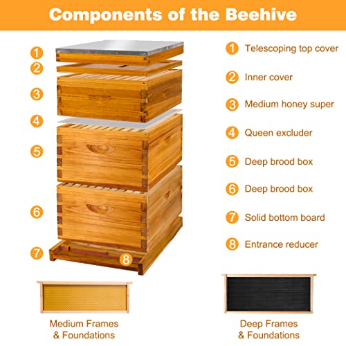 Honey Lake 10-Frame Langstroth Beehive Starter Kit, Beeswax Coated Complete Bee Hive Includes 2 Deep Brood Boxes and 1 Medium Super Bee Boxes with Beehive Frames and Foundations (3 Layer)