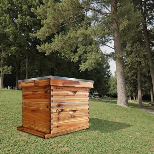 BeeCastle 10-Frame Langstroth Bee Hive Coated with Beeswax, Complete Beehive Starter Kit with 2 Deep & 1 Medium Boxes, Weatherproof Cedar Wood, Dovetail Joints, Easy Assembly