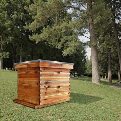 BeeCastle 10-Frame Langstroth Bee Hive Coated with Beeswax, Complete Beehive Starter Kit with 2 Deep & 1 Medium Boxes, Weatherproof Cedar Wood, Dovetail Joints, Easy Assembly