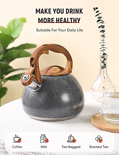 BELANKO 2.7 Quart Tea Kettle for Stovetops - Food Grade Stainless Steel Teapot with Loud Whistle, Cool-Touch Wood Pattern Handle, Rust-Resistant Whistling Kettle - Starry Gray - color: Starry Gray