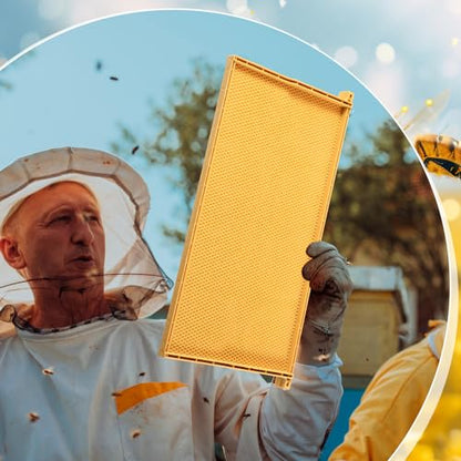 DoubleFill 10 Pack Plastic Beehive Frames and Wax Foundations All in One Bee Hive Frames with Beeswax Coated Foundations Bee Frames Beekeeping Frames for Deep Brood Bee Hives 9 1/8 Inches(Yellow) - color: Yellow