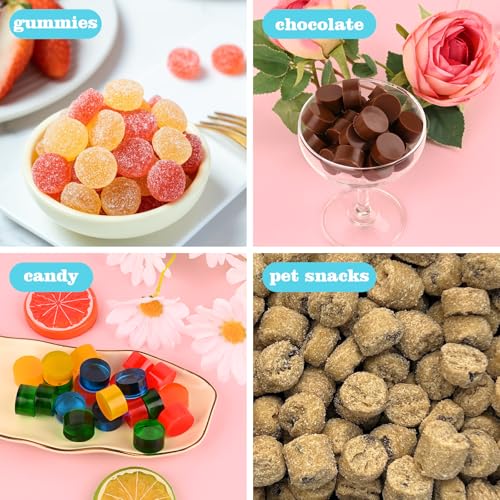 Sakolla Round Candy Molds Silicone, 220 Cavities Mini Cylinder Molds for Chocolate, Hard Candy, Gummy, Ganache, Ice Cubes, Set of 4 with 2 Droppers - color: Mini Round/4 Colors