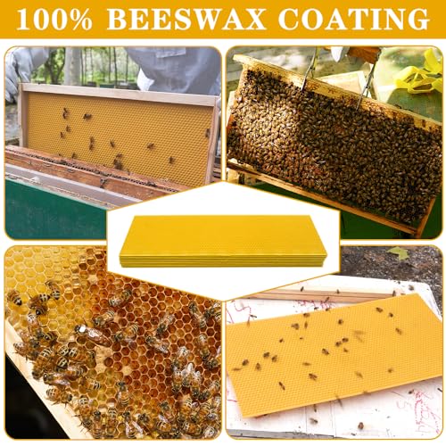 Beehive Waxed Coated Foundation Sheet 20 pcs Medium Beeswax Foundation Sheets 5-5/8-Inch Bee Waxed Foundation Sheets for Bee Frame for Beekeeping Supply (5-5/8-Inch) - size: 5-5/8-Inch