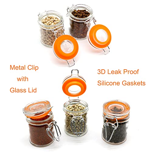 1.7 oz Mini Glass Spice Bottles, 24 Pack Small Glass Jars with Airtight Lid and Leak Proof Rubber Gasket, Empty Spice Containers with Labels for Home and Kitchen