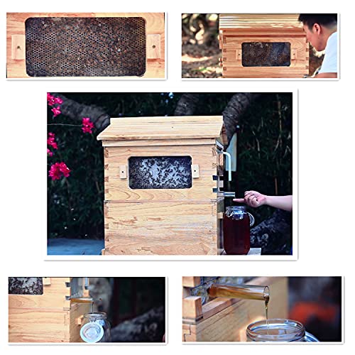 LANGLANG Automatic Wooden bee hive House kit with 7 PCS Upgraded Auto Frame Comb-Beehive Box Honey Free harvesting.