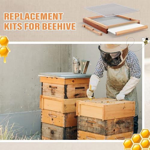 Beeveer 3 Pcs Beehive Parts Kit for 10 Frame Bee Hive, Beehive Screened Bottom Board with Entrance Reducer and Metal Queen Excluder for Beekeeping Supplies - style: Without Wooden Frame