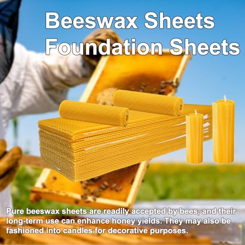 30pcs Beeswax Sheets for Beekeeping Candle Making, DIY Craft Supplies | Beeswax Sheets Foundation for Beekeeping Candle Making Wax Honeycomb Frames DIY Bee Frames Kit Honey Rolled