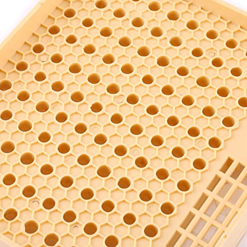 Queen Bee Grafting Tool 20x16x13cm Beekeeping Queen Breeding Cup Box Cell Rod Blocks Caps Hair Rollers Cages Beekeeper Equipment