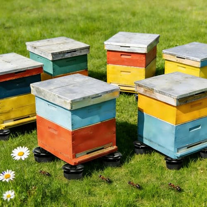 4 Sets/16Pcs Beehive Stands, Ant-Proof Beehive Feet Stands, Plastic Beehive Base for Outdoor Beekeeping Operations