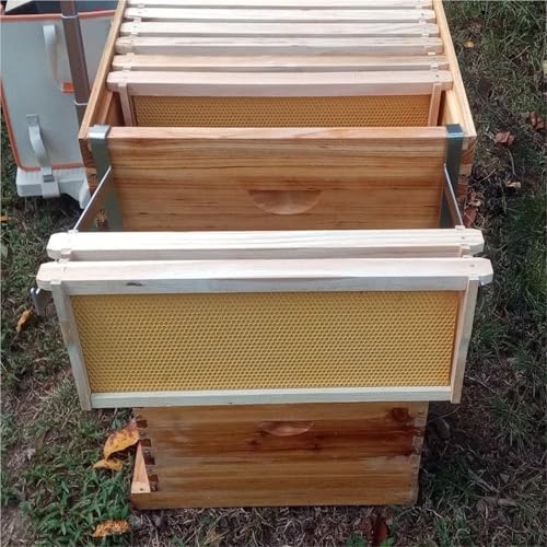 4pcs Stainless Steel Beehive Frame Holder Adjustable Rustproof Support Rack Stable Multifunctional Bee Hive Grip