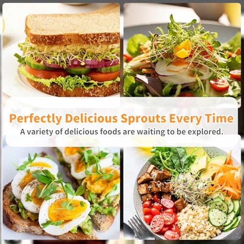 Sprouting Jar Kit, 2 Pack Wide Mouth Mason Jar Sprouting Kit with Sprout Lids, Blackout Sleeves, Drain Cover, Perfect for Home Gardeners, Health Enthusiasts & Vegan Diets - color: 2Pack+2Sleeve