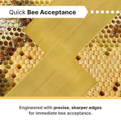 Mann Lake 8 1/2" Waxed Rite-Cell Foundation, Easy Install Bee Hive Frames, Durable & Bee Friendly Brood Chamber Essential, Withstands Heavy Extracting, Case of 100, Natural - color: Natural