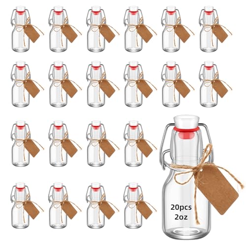20Pcs 2oz Swing Top Glass Bottles,Flip Top Glass Bottle with Lids Sealable Kombucha Bottle for Brew Beer Syrup Vanilla Extract Air Tight Bottles (Clear) - color: Clear