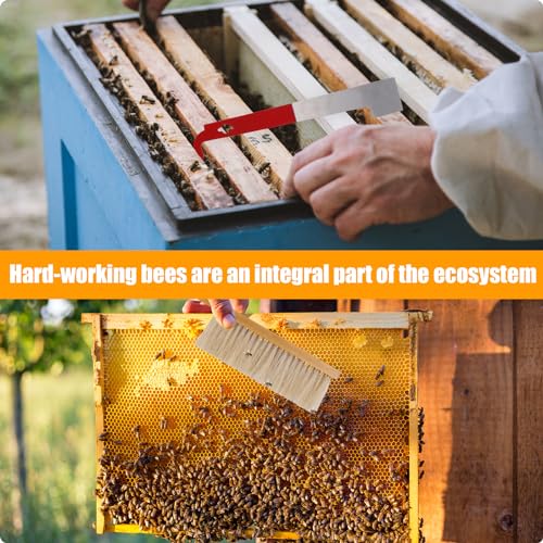 PEUTIER 2pcs Bee Hive Brush and Bee Hive Scraper Set, Metal J Hook Bee Hive Tool Hive Frame Lifter Gripper Bee Brush with Wooden Handle Beekeeping Supplies Equipment for Bee Keepers