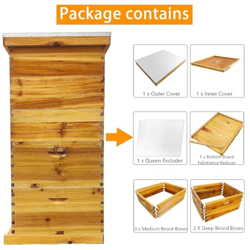 5 Layer Langstroth Beehive Dipped in 100% Beeswax Coated Bee Hive Includes 2 Deep Hive Bee Box & 3 Super Bee Hive Without Frames