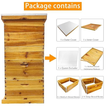 5 Layer Langstroth Beehive Dipped in 100% Beeswax Coated Bee Hive Includes 2 Deep Hive Bee Box & 3 Super Bee Hive Without Frames