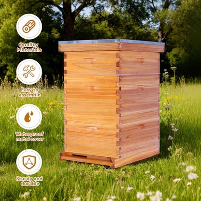 POLLIBEE 10 Frame Beehive, Beeswax Coated Bee Hives for Bee Keeper,Beehive Include 2 Deep Bee Boxes and 1 Medium Bee Hive Box with Frame and Foundation(Unassembled) - size: 3-Layer