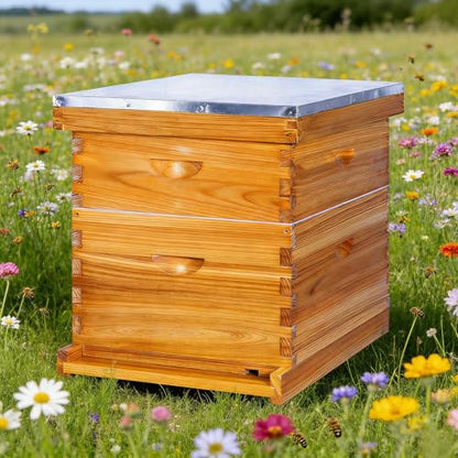 Honey Lake 10-Frame Beehives Starter Kit – Complete Langstroth Hive with 1 Deep Brood Box & 1 Medium Super, Beeswax-Coated, Includes Beehive Frames & Waxed Foundation Sheets