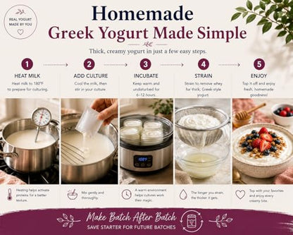 Cultures for Health Greek Yogurt Starter Culture | 2 Packets Dehydrated Heirloom Style DIY Probiotic Yogurt | Delicious for Smoothies, Granola and Berries, Tzatziki, Soup, & Other Healthy Snacks