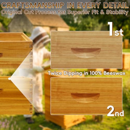 10-Frame Langstroth Bee Hive Deep and Medium Box Kit, Beeswax Coated Bee Boxes Not Include Frames and Foundations (Unassembled)
