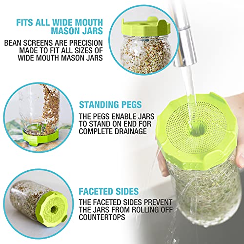 Masontops Mason Jar Bean Sprouting Jar Starter Set - Easy DIY Bean Sprout Kit with Organic Seeds, Sprouting Lids, Complete Bean Sprouts Grow Kit - size: Single Jar Kit (1 Jar, 1 Screen, 1 Seed Mix)